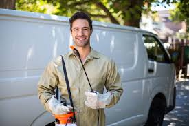 Emergency Pest Control Services in Rancho Mission Viejo, CA